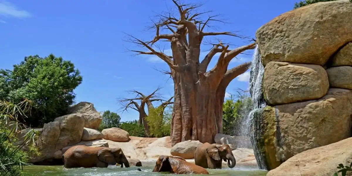 Bioparc de Valencia