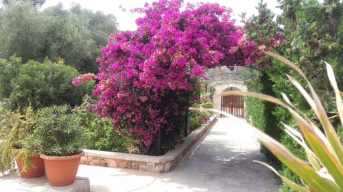 Apartamentos Villa Primera