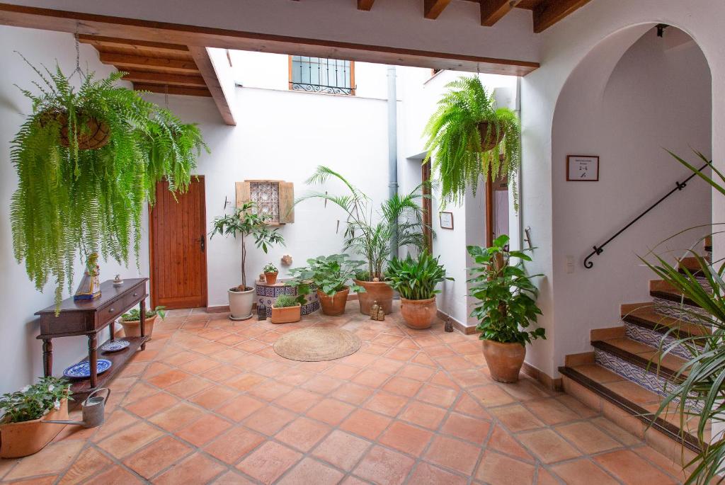 La Morada Mas Hermosa - hotel en Marbella