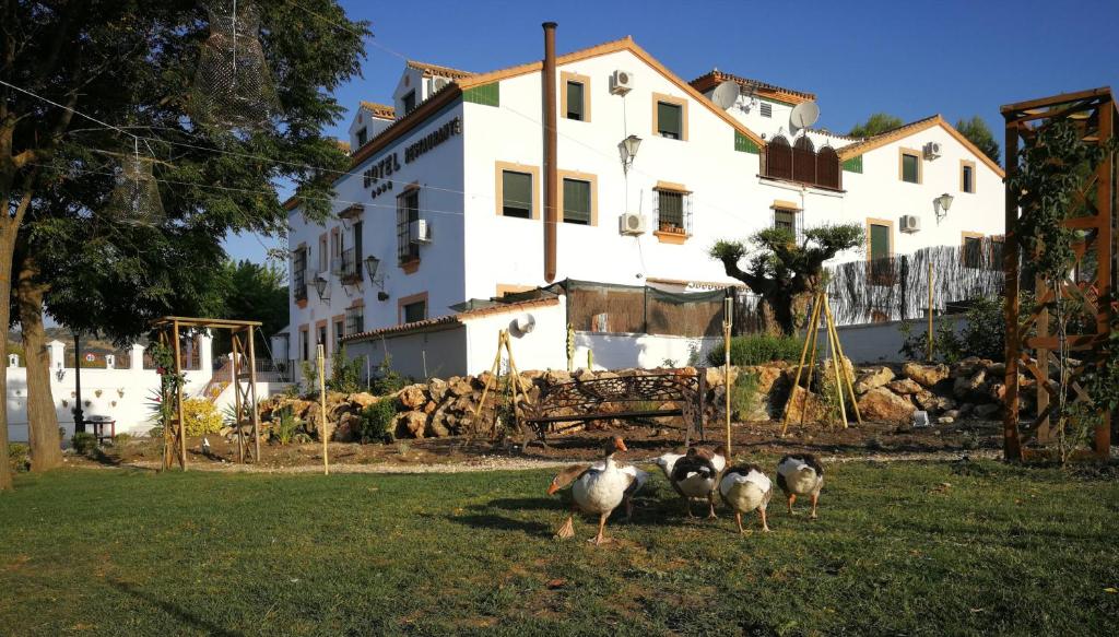 Hotel Don Manuel - hotel en Ronda