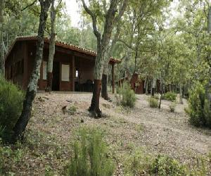 Hoteles en Maçanet de Cabrenys - Camping Maçanet de Cabrenys