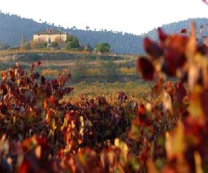 Hoteles en Sant Jaume dels Domenys - Mas Castell de Gimenelles
