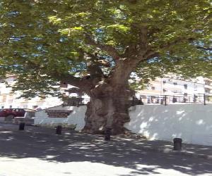 Hoteles en Güéjar-Sierra - Ruralguejar