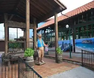 Albergue Hostel La Posada Cangas de Onis - hotel en Villanueva de Cangas de Onís