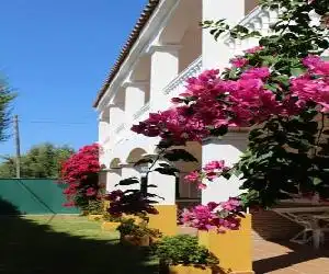 Apartamentos Bolonia Paraiso - hotel en Bolonia