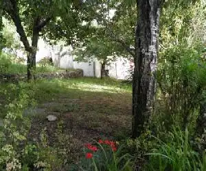 Apartamentos Casalpujarra - hotel en Bubión