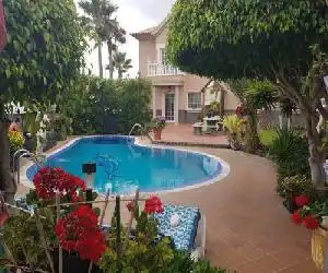 Apartamentos Los Delfines - hotel en El Médano