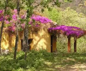 Apartamentos Rurales Ecopangea - hotel en Valverde de la Vera