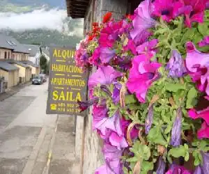 Apartamentos Saila - hotel en Castejón de Sos