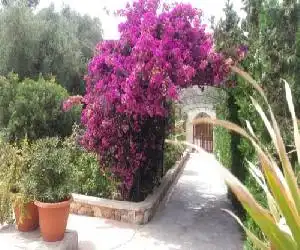 Apartamentos Villa Primera - hotel en Cala Figuera