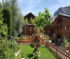 Apartamentos y Cabañas Arroyo Frío
