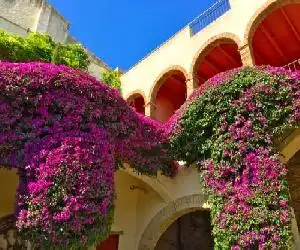 Apartaments Can Gibert - hotel en Castelló de Ampurias