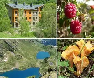 ApartHotel RIALB - hotel en El Serrat