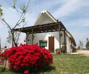 Barraca Gran - hotel en Deltebre