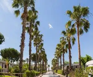 Camping Vendrell Platja - hotel en Comarruga