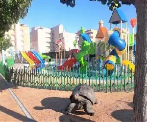 Camping y Bungalows Monmar - hotel en Moncófar