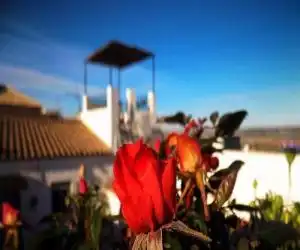 Casa Campana - hotel en Arcos de la Frontera