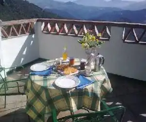 Casa El Olivo - hotel en Benalauría