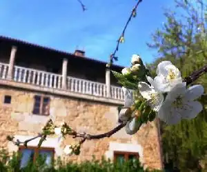 Casa Grande de Fuentemayor - hotel en Silleda