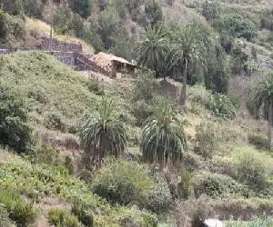 Casa Rural El Rincón de Antonia - hotel en Agulo