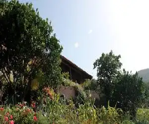 Casa Rural Las Rosas - hotel en Agulo