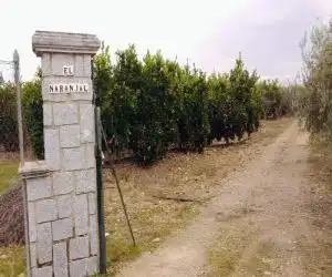Casa Rural Los Naranjos - hotel en Almodóvar del Río