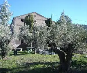 Casa Rural Masía Barbera - hotel en Ibi