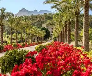 Castell Son Claret - The Leading Hotels of the World - hotel en Es Capdella