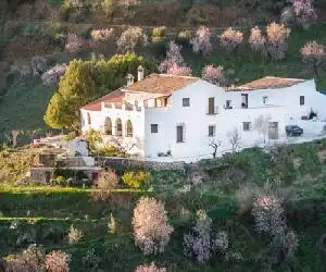 Cortijo Juan Salvador - hotel en Olías