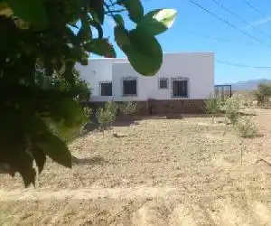 Cortijo ZD - hotel en Mojácar
