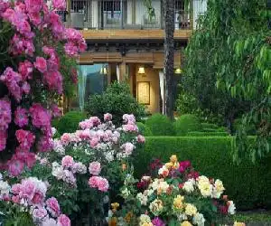 El Jardín del Convento - hotel en Hervás