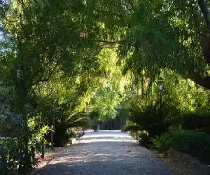 Finca Cas Sant - hotel en Sóller