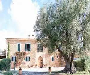 Finca Es Cabas - hotel en Santa Maria del Camí