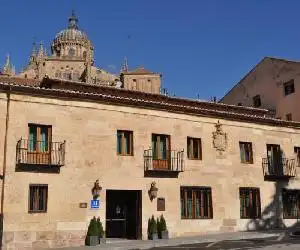 Grand Hotel Don Gregorio - hotel en Salamanca