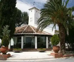 Hotel & Spa La Salve - hotel en Torrijos