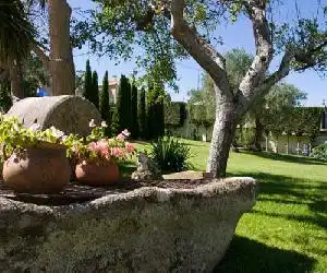 Hotel Mabel - hotel en Ardía