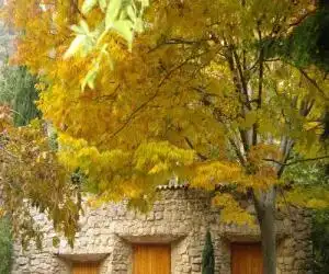 La Casita - hotel en Torres
