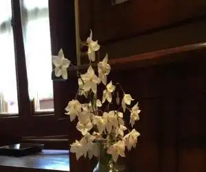 La Casona de Benito - hotel en Rellayo