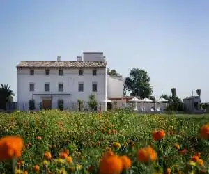 La Mozaira - hotel en Alboraya