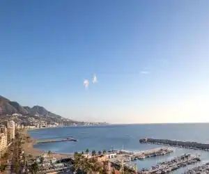 Las Palmeras