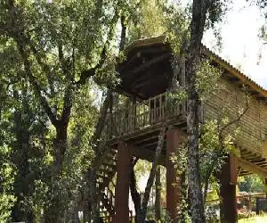Los Nidos De Santa Maria