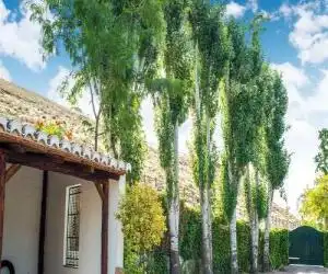 Cozy Cottage in El Padul with Swimming Pool - hotel en Padul