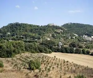 Predi Son Jaumell Hotel Rural - hotel en Capdepera