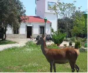 San José