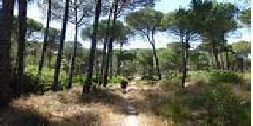 Apartamento Aznalcazar