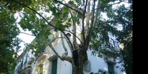 Apartamentos Los Manueles