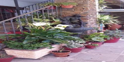 Apartamentos Siete Lagunas