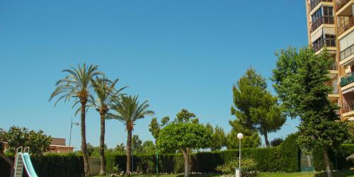 Apartment Las Cinco Torres