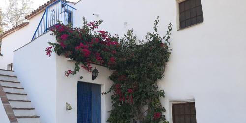 Attico Los Montes with private pool