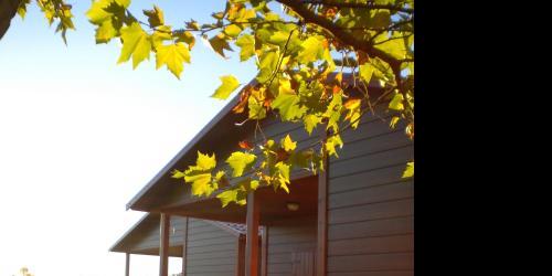 Cabañas-Bungalows-Camping 